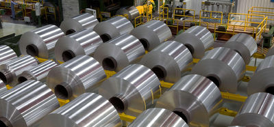 Shandong Hongxin International Trade Co., LTD. 공장 생산 라인