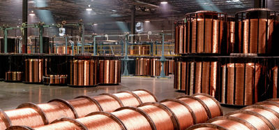 Shandong Hongxin International Trade Co., LTD. 공장 생산 라인